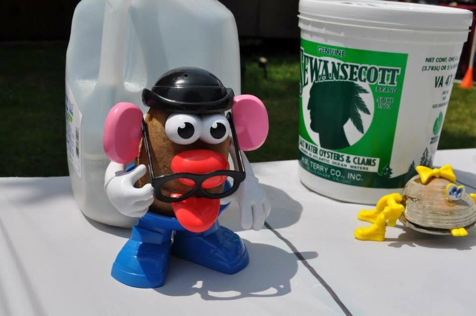 Mr. Potato Head and a decorated quahog clam displayed at an early community fundraiser